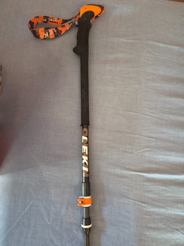 Leki carbon titanium speedlock - carbon,